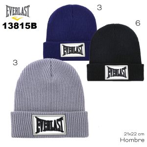 13815b
