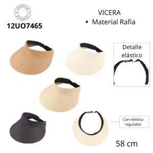 12UO7465 VICERA MATERIAL RAFIA