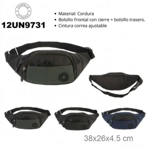 12UN9731 RIÑONERA